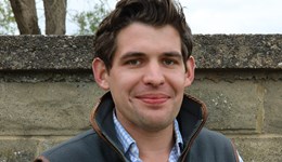 Vale of Glamorgan Monitor Farm Meeting – Cover crops, worth the investment? 